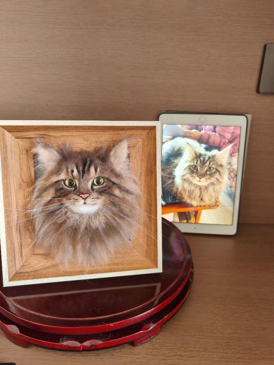 Custom Wool Felt Pet Portrait with Frame - 3D Shadow